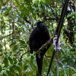 Photo taken by Jeffrey B