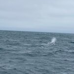 Photo taken by Connie P