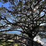 Photo taken by Rosemary S