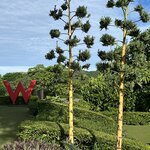 Photo taken by Cindy R