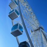 Photo taken by Becky L