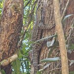 Photo taken by Susan D