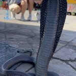 Photo taken by Julie A