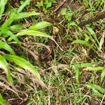 Photo taken by Darla D