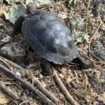 Photo taken by Gary W