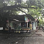 Photo taken by Michelle D