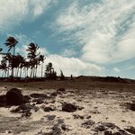 Photo taken by RENU J