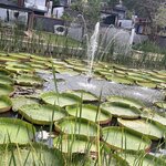 Photo taken by Tina N