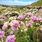 Photo taken by Tina D