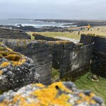 Photo taken by Tom B