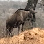 Photo taken by Paul B