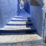 Photo taken by Allison O