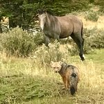 Photo taken by Janine N