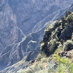 Photo taken by Alpa M