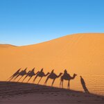 Photo taken by Laura S