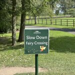 Photo taken by Shamma L