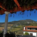 Photo taken by Dee C