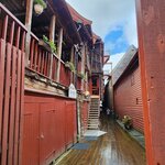 Photo taken by Linda M