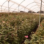 Photo taken by Mark L