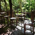 Photo taken by Deborah M