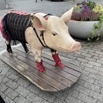 Photo taken by Marcos M