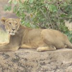 Photo taken by Kristin M