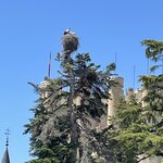 Photo taken by Angie