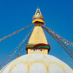 Photo taken by Greg C