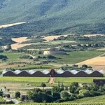 Photo taken by Eileen S