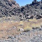 Photo taken by Sharon H