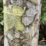 Photo taken by Rosemary S