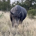 Photo taken by rhonda c