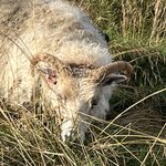 Photo taken by Lauri F