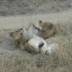 Photo taken by Linette B