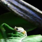 Photo taken by Brett F