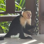 Photo taken by Hannah S