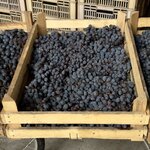 Photo taken by Julie W