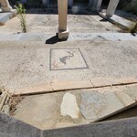 Photo taken by kenyon s