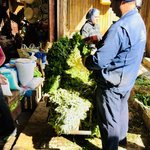 Photo taken by Laura M