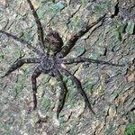 Photo taken by Marc A