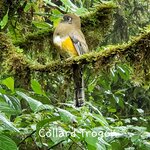 Photo taken by Susan D