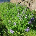 Photo taken by Kevin S