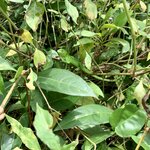 Photo taken by Erin K