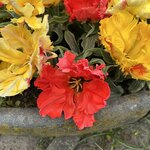 Photo taken by Jennifer D