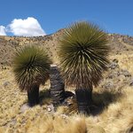 Photo taken by Nicolette S