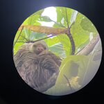 Photo taken by Lois K