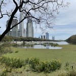 Photo taken by Rachel P