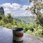 Photo taken by Weston L