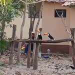 Photo taken by Matt W