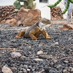 Photo taken by Lisa T